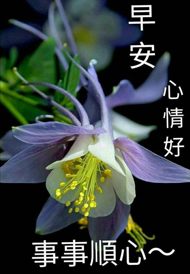按我可連結至更清楚的圖片